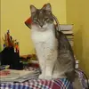 Отзыв от Олеся Чеботарева